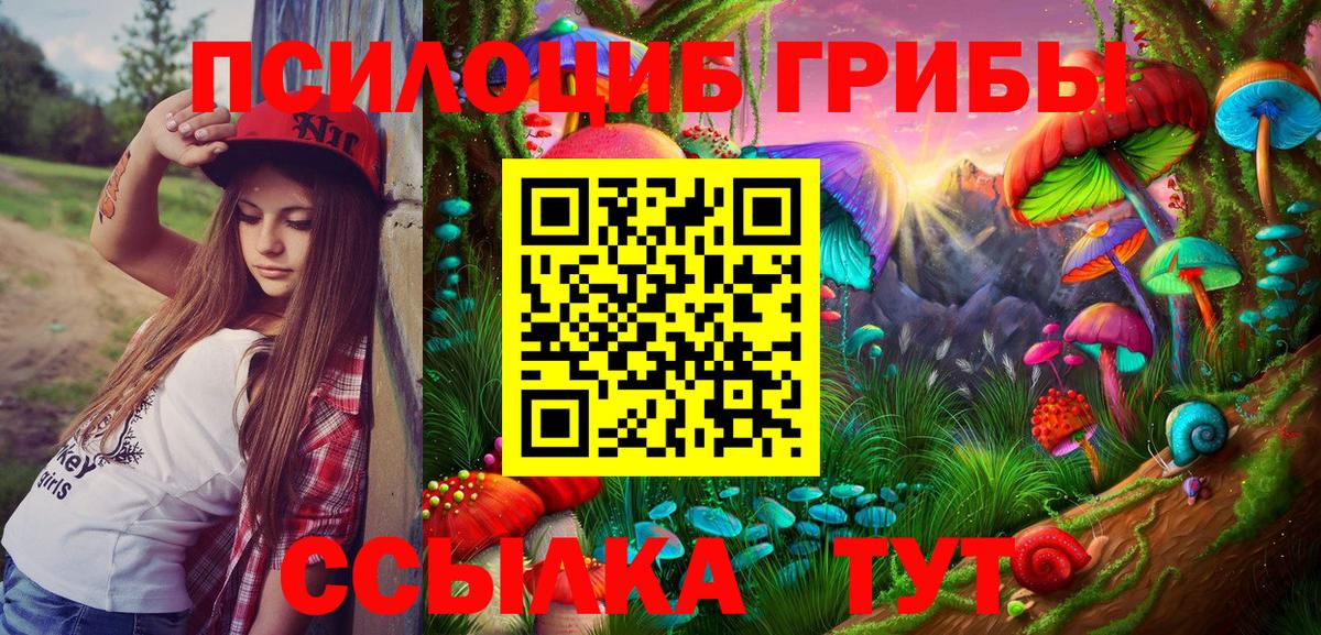 Нефтекамск  Галлюциногенные грибы GOLDEN TEACHER  Вход с VPN 